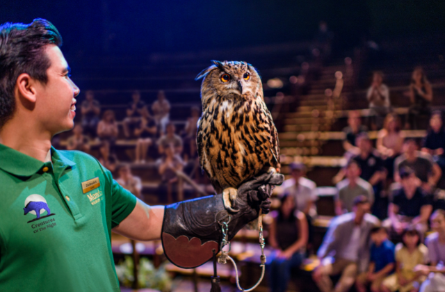 싱가포르 나이트 사파리 입장권 & 무제한 트램 - 만다이 야생 동물 보호구역