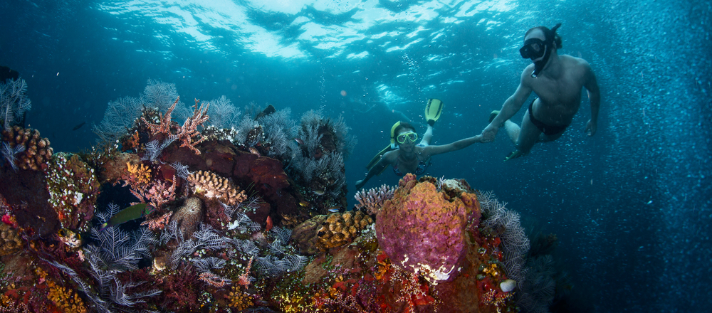 보라카이 호핑투어 프리다이빙 & 스노클링 (수중 사진, 동영상 촬영)