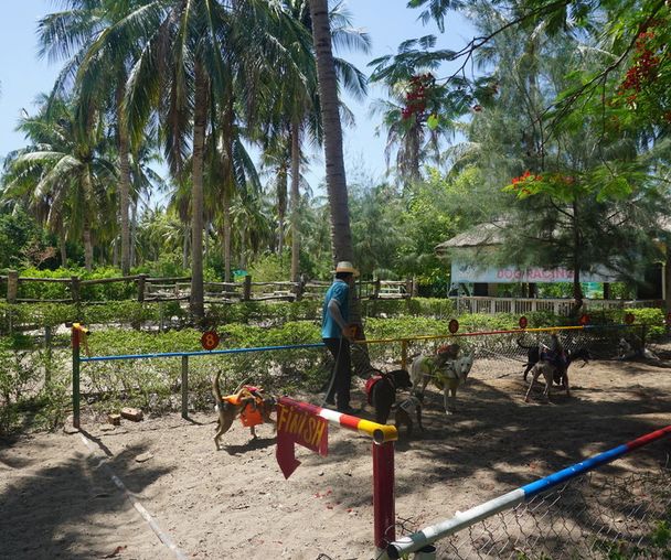 activity_detail_image