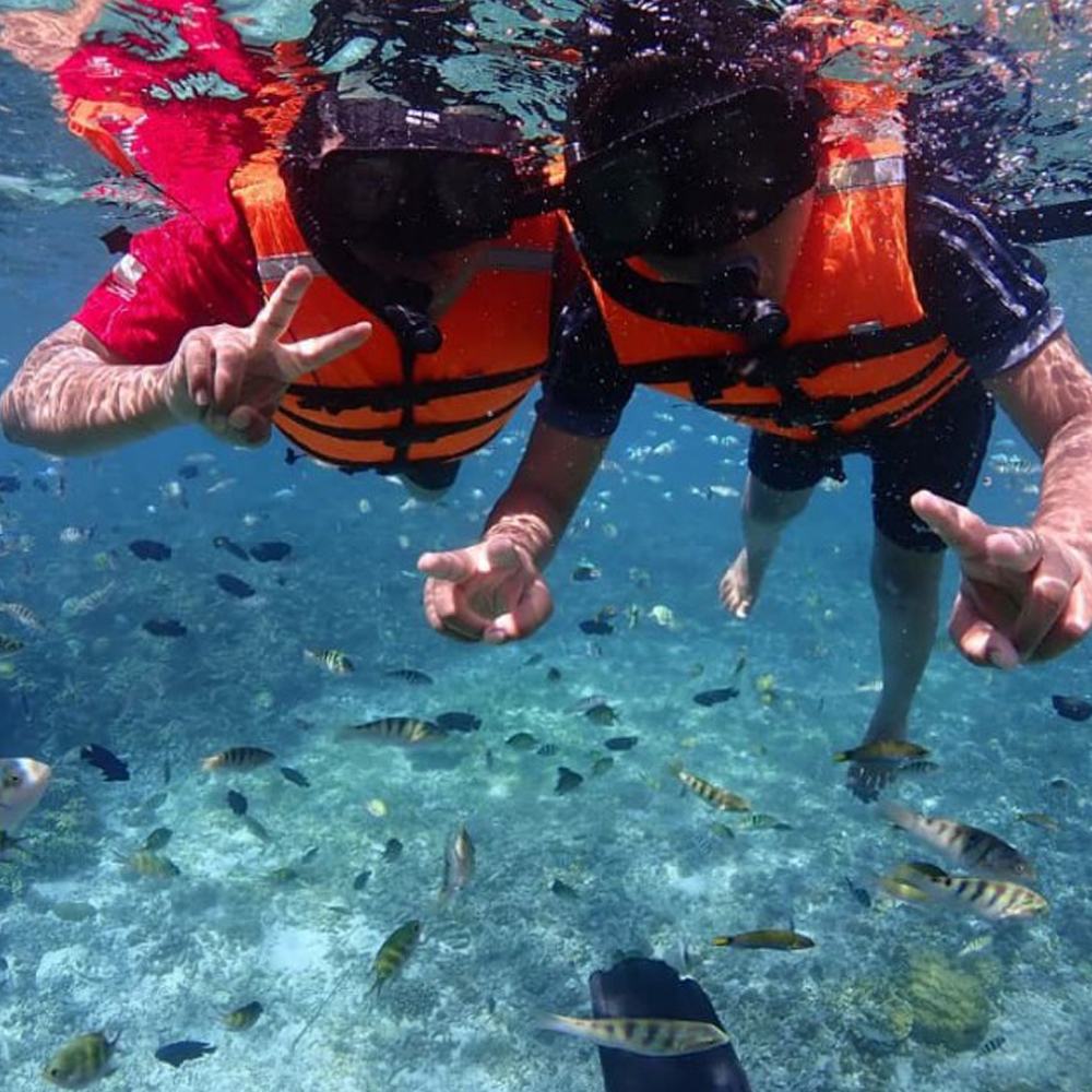 코타키나발루 사피섬 호핑 투어 + 까왕 반딧불 투어