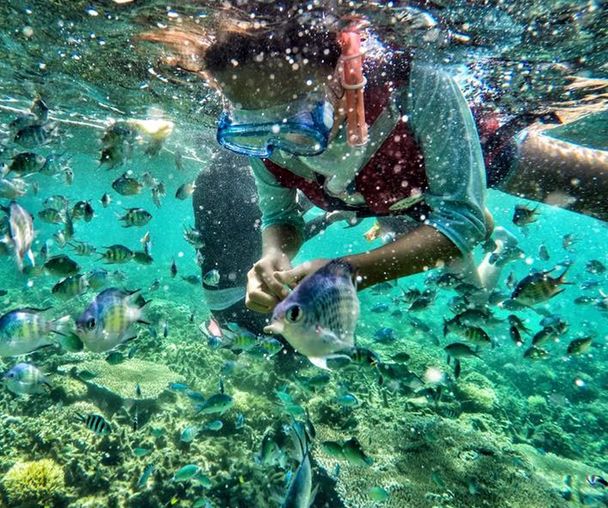 activity_detail_image