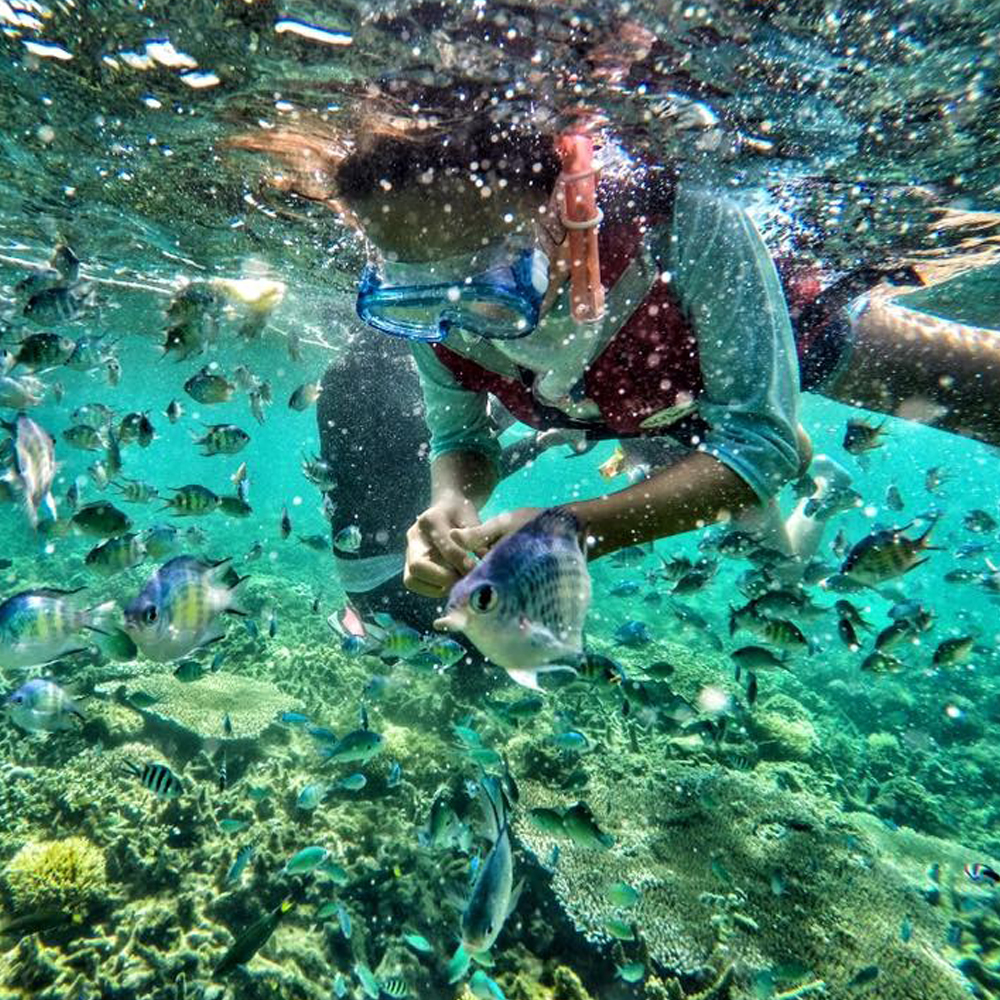 코타키나발루 사피섬 호핑 투어 + 까왕 반딧불 투어