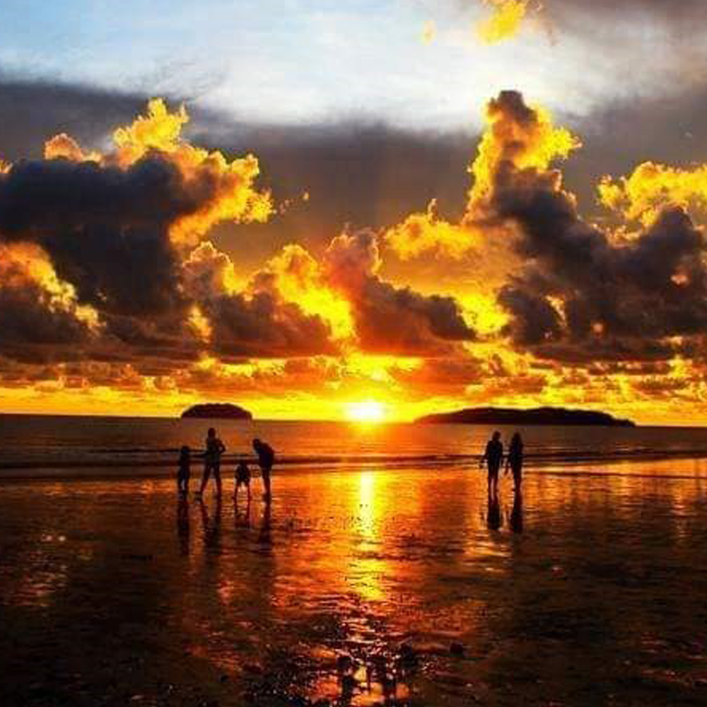 코타키나발루 사피섬 호핑 투어 + 까왕 반딧불 투어