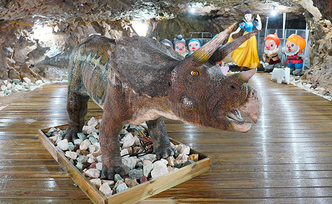 울산 자수정 동굴나라 입장권 (보트 탐험 포함)