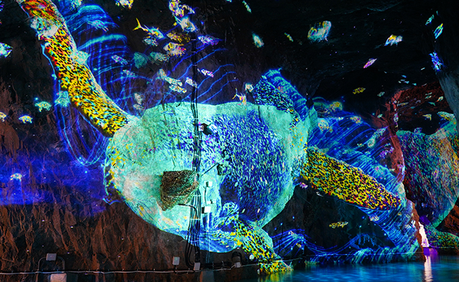 울산 자수정 동굴나라 입장권 (보트 탐험 포함)