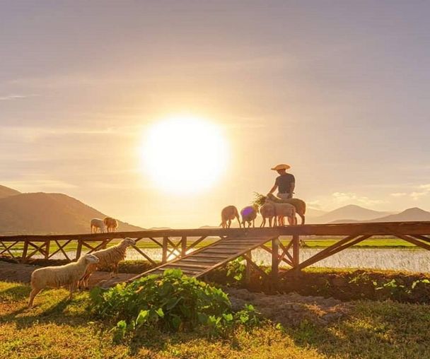 activity_detail_image