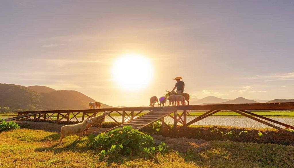 나트랑 출발: 요즘 뜨는 무이딘 일일 투어