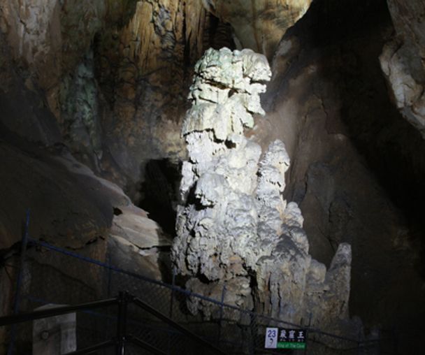 activity_detail_image