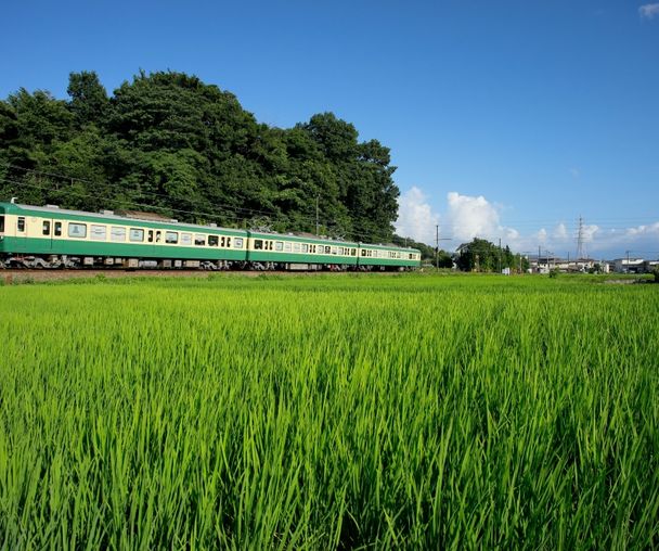 activity_detail_image