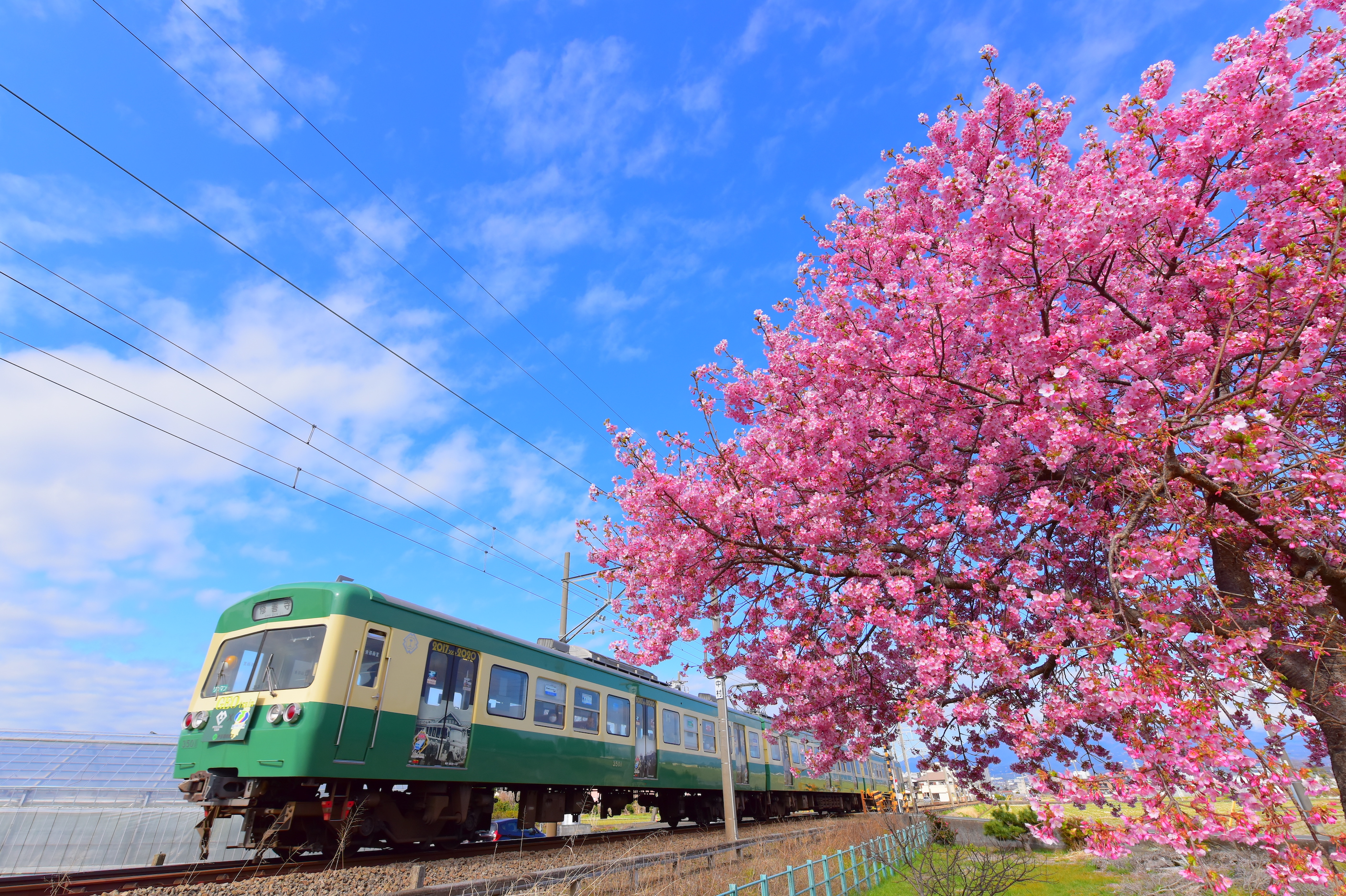 Izuhakone Line 2-day ticket (rail & bus)