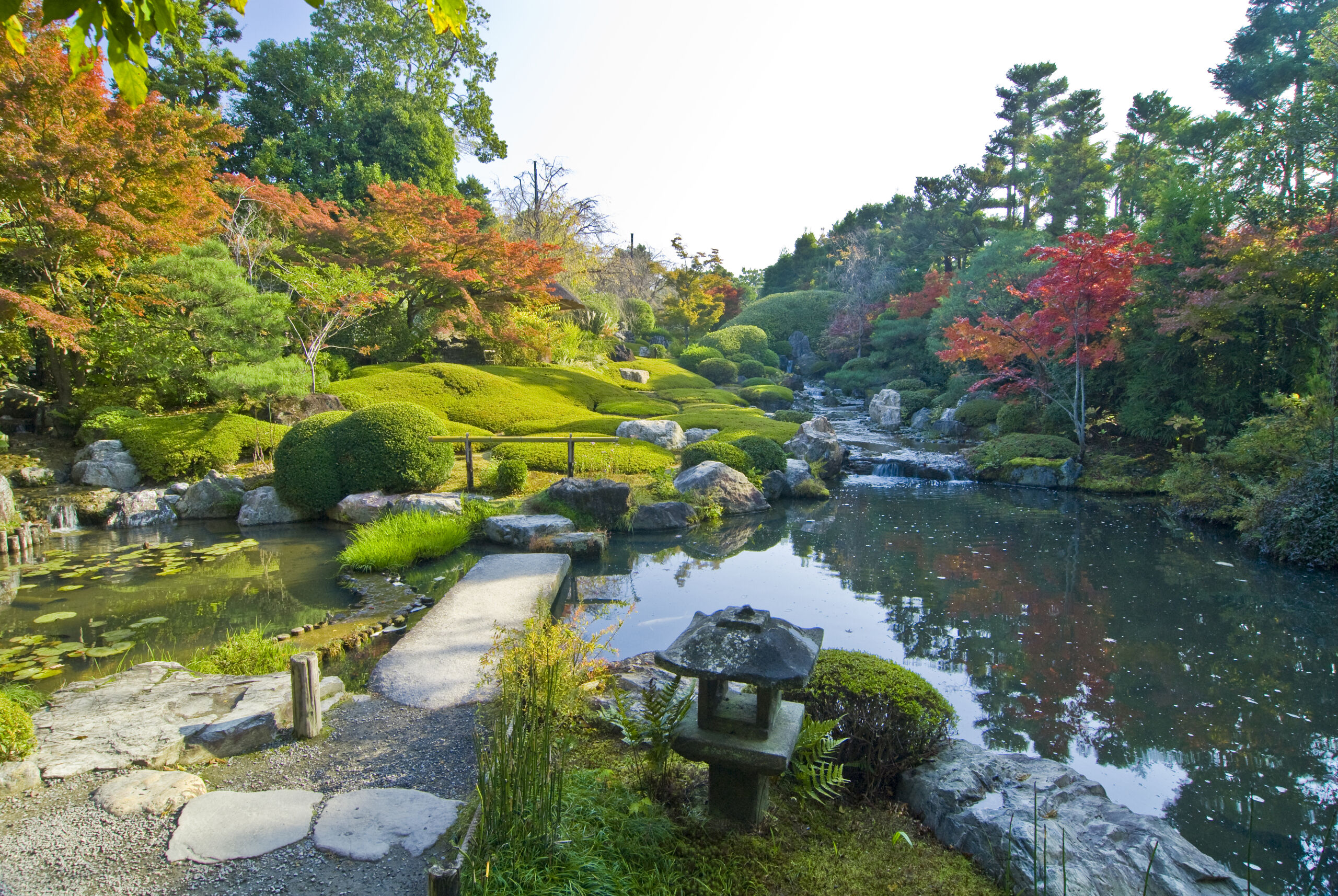 Myoshin-ji Temple Admission Ticket & Hanagokoro Lunch Set in Kyoto