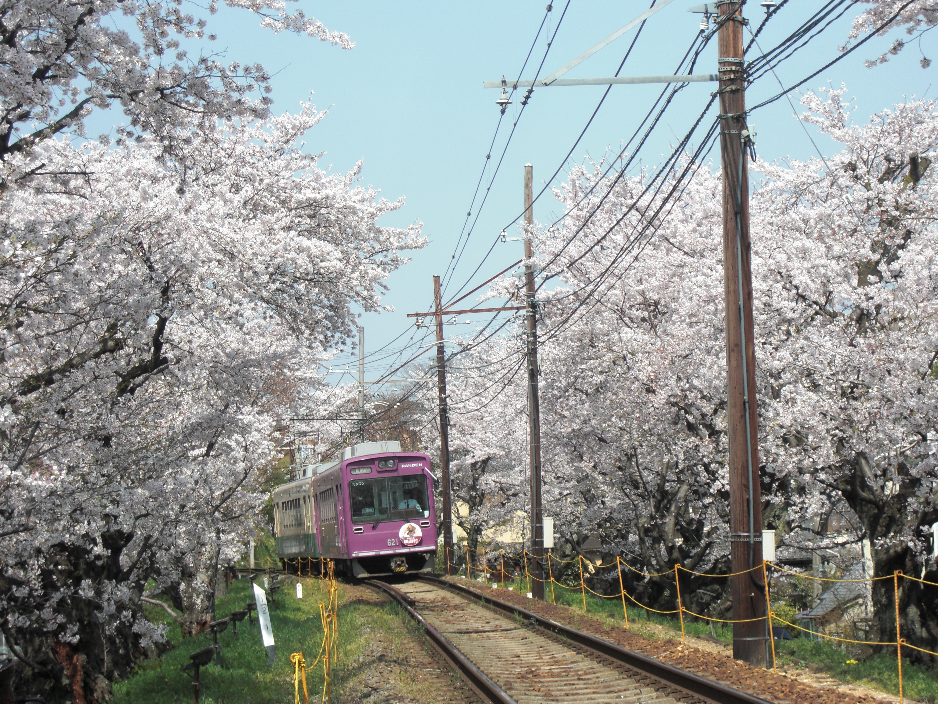 Randen Tram 1-Day Pass + Bike Rental (Including Foot Bath)