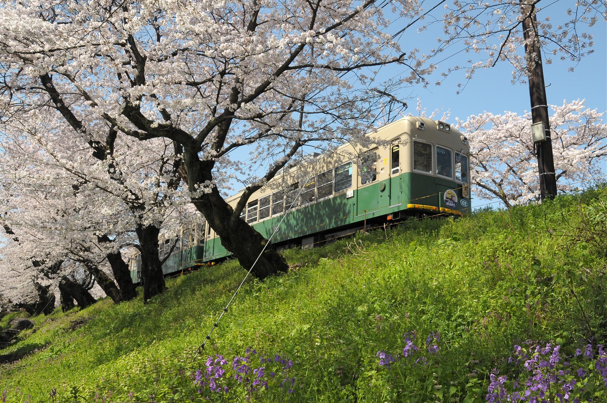 Randen Tram 1-Day Pass + Bike Rental (Including Foot Bath)