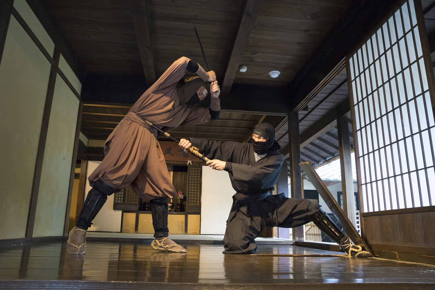 Kintetsu Rail Pass 5 Day