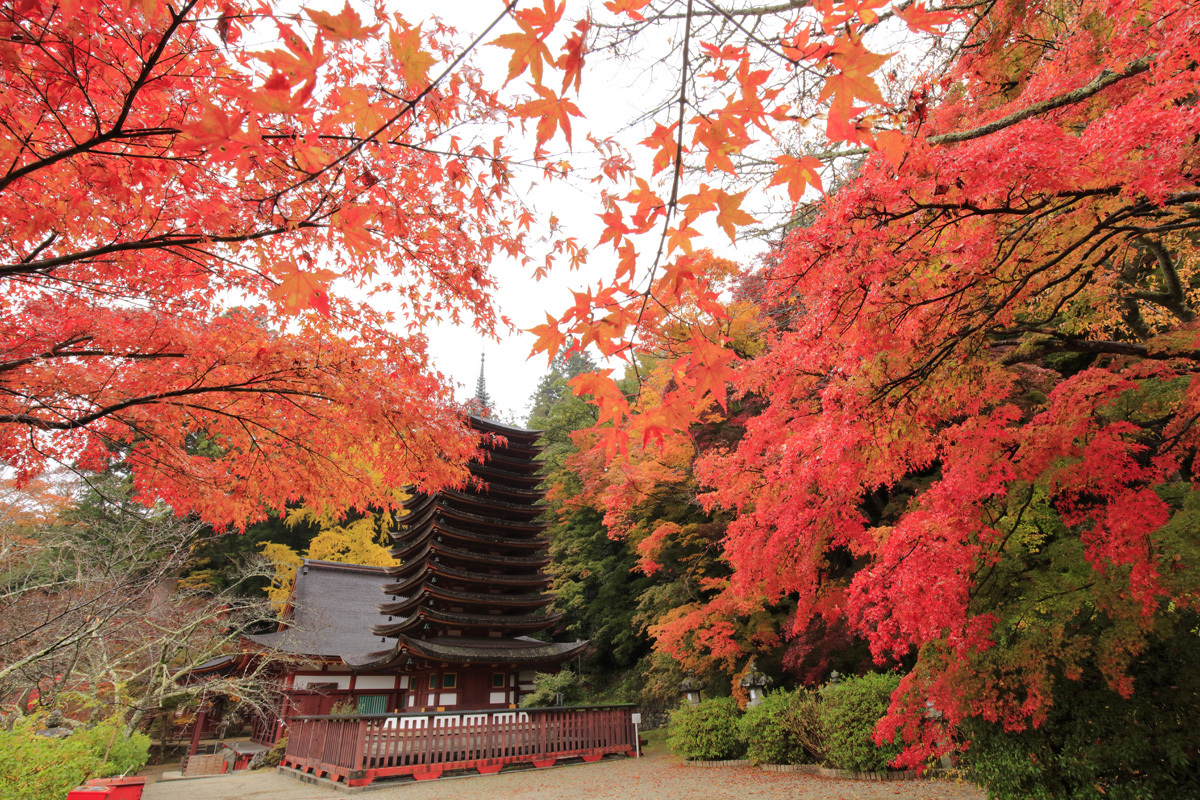 Kintetsu Rail Pass 5 Day Plus