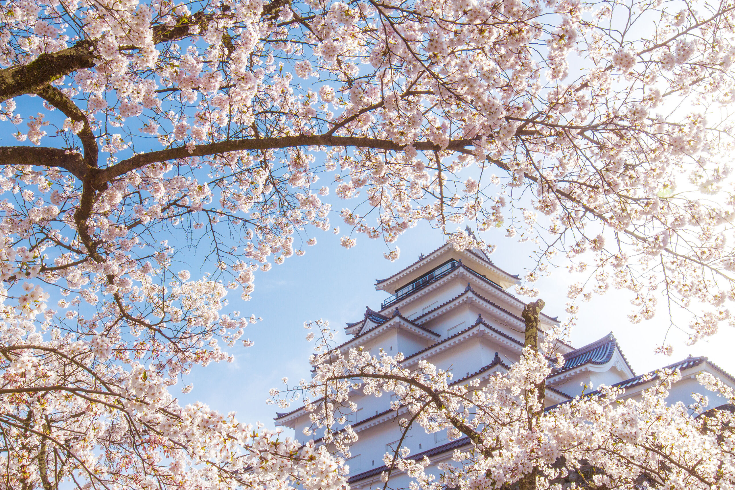 JR東日本パス (東北エリア) 5日間