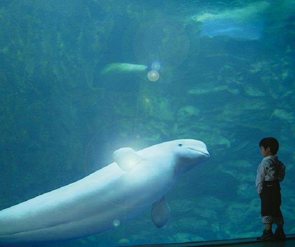 activity_detail_image