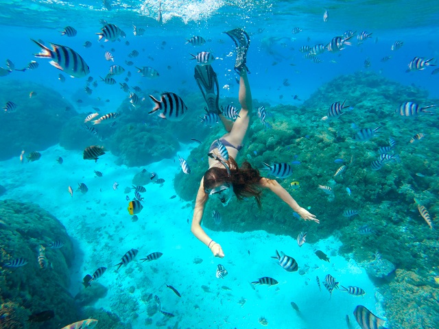 [비오비] 세부의 꽃! 낭만 호핑 단독 투어