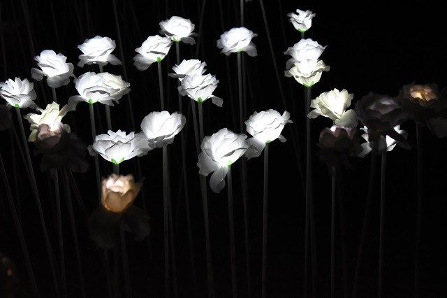 [비오비] 세부의 꽃! 낭만 호핑 단독 투어