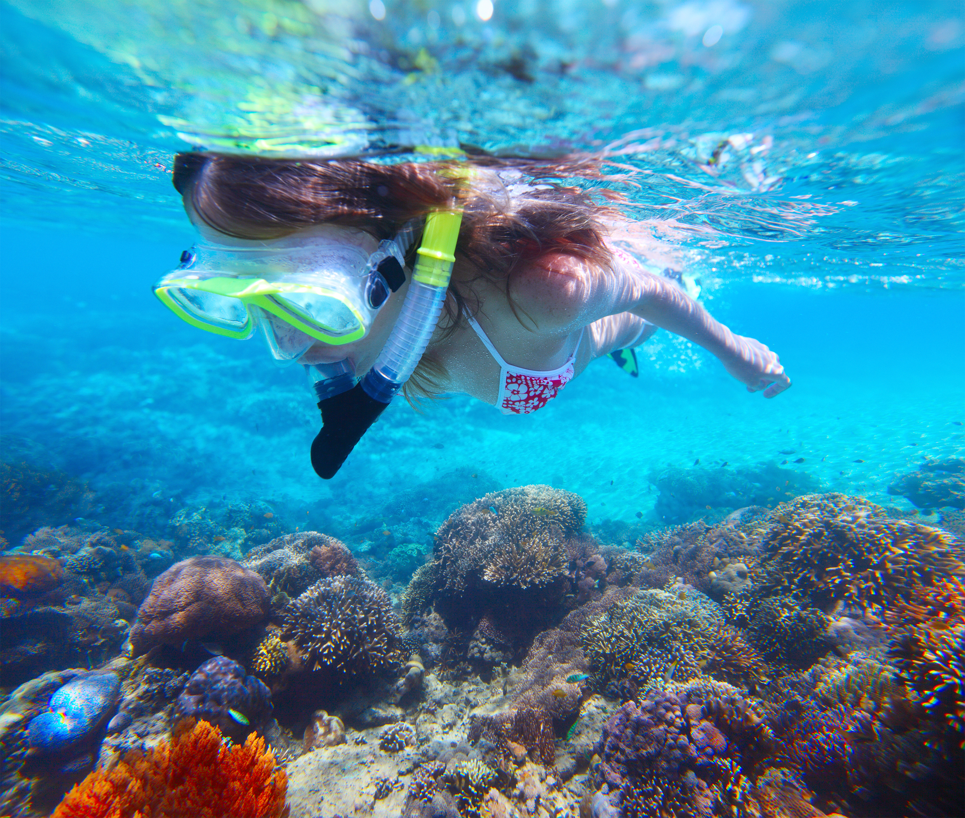 [비오비] [3박4일] 세부 호캉스 패키지 투어