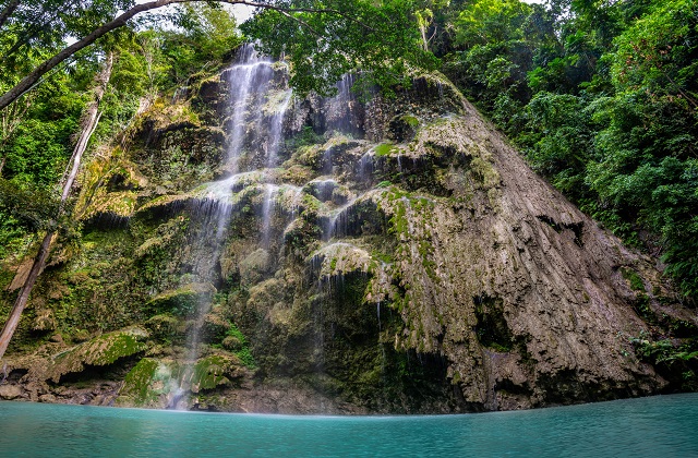 [비오비] 세부 오슬롭 고래상어 + 시말라 단독 투어