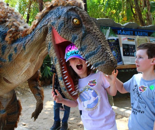 activity_detail_image