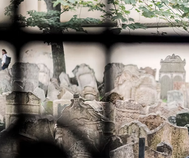 activity_detail_image