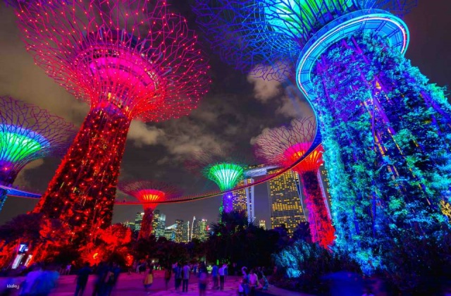 [프로모션] 싱가포르 빅버스 나이트 투어