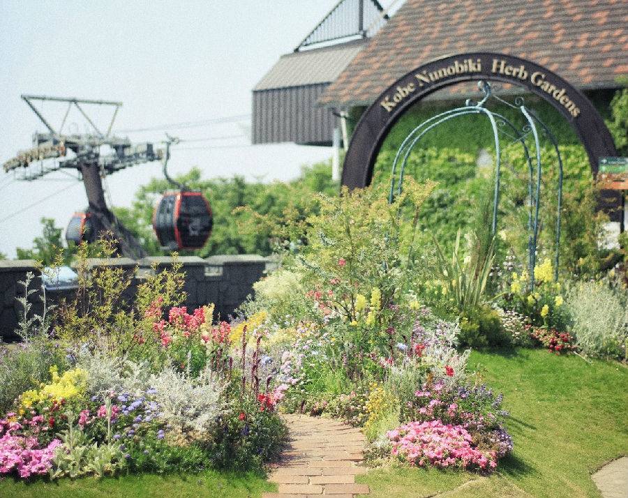 Kobe Nunobiki Herb Garden & Cable Car Ropeway Round Trip Ticket