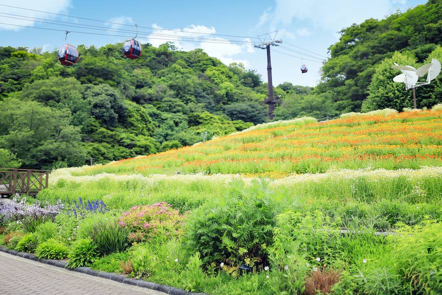 Kobe Nunobiki Herb Garden & Cable Car Ropeway Round Trip Ticket