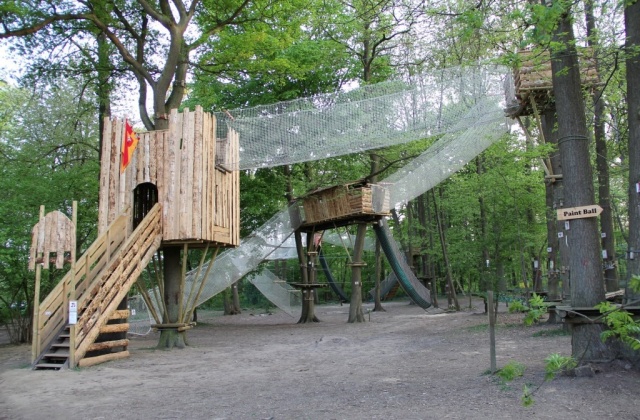 activity_detail_image