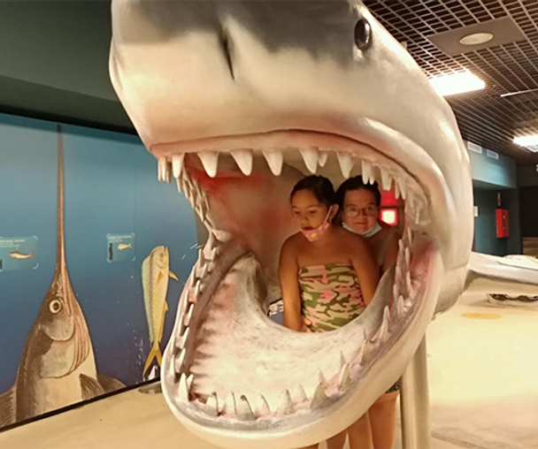 activity_detail_image