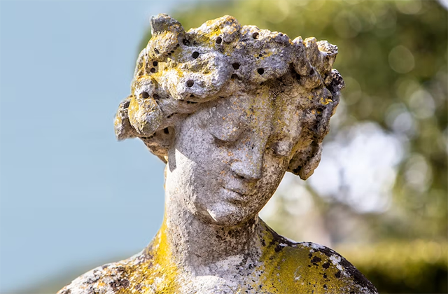 activity_detail_image