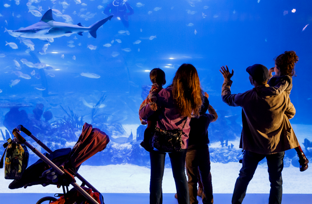 activity_detail_image