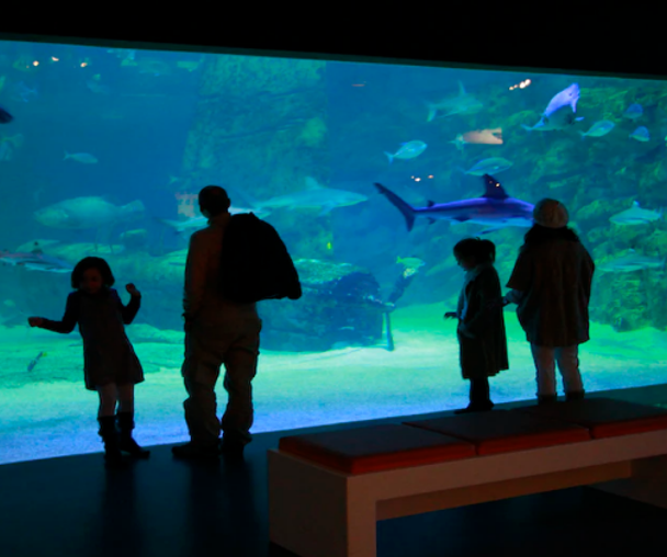 activity_detail_image