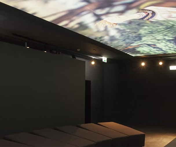 activity_detail_image