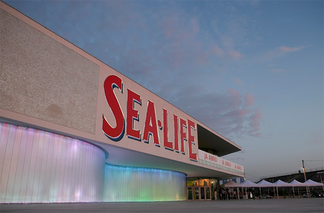 activity_detail_image