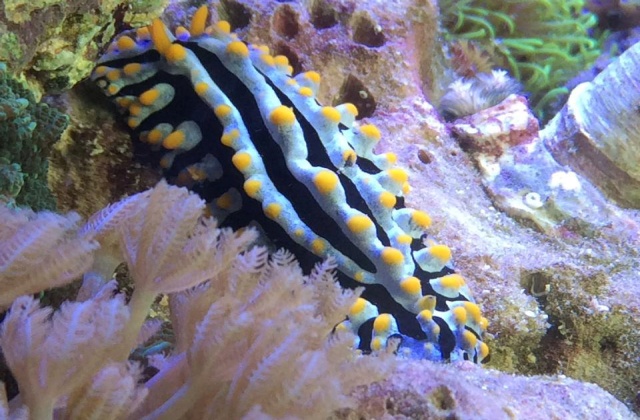 activity_detail_image