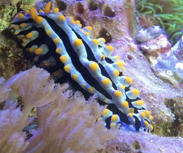 activity_detail_image