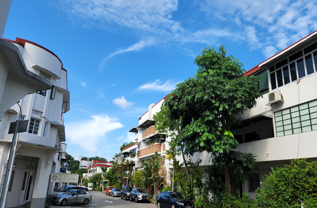 싱가포르 차이나타운 & 티옹바루 맛집 워킹 투어 (한국인 가이드)