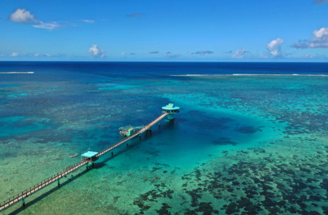 괌 피쉬아이 마린파크 해중 전망대 & 코코넛 체험 투어 (런치 뷔페 선택 가능)