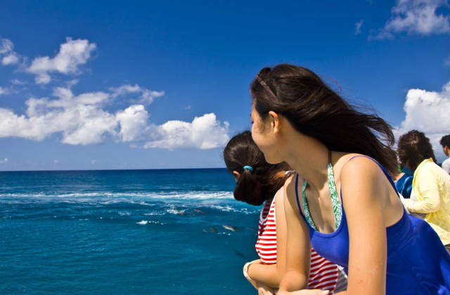 괌 피쉬아이 마린파크 돌핀크루즈 투어 (점심 식사, 해중전망대 포함)