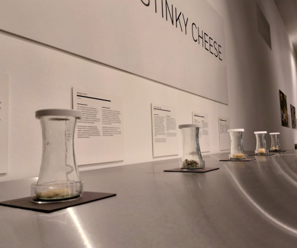 activity_detail_image