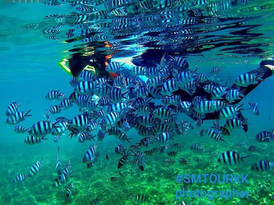 코타키나발루 쁠라우띠가섬 호핑투어