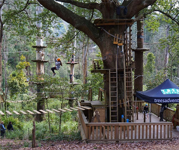 activity_detail_image