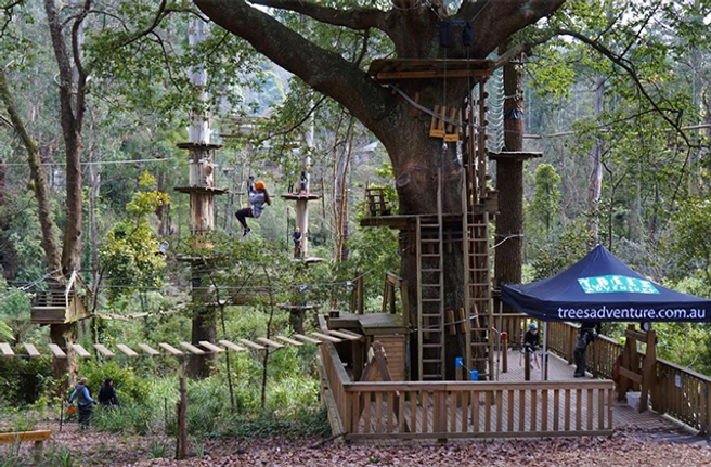 멜버른 트리탑스 어드벤처 벨그레이브 파크 어트랙션 티켓