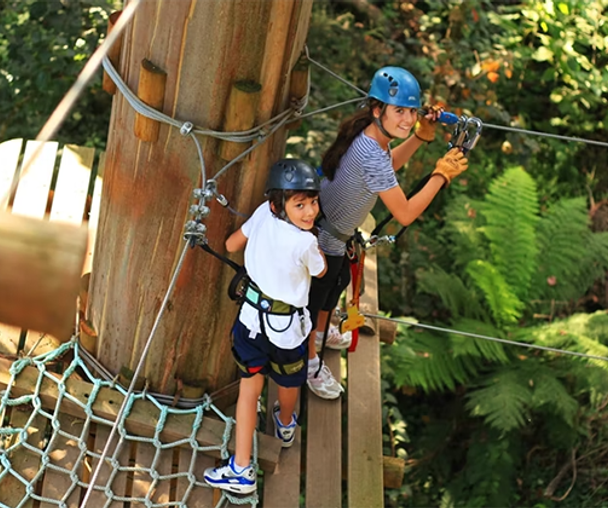 activity_detail_image