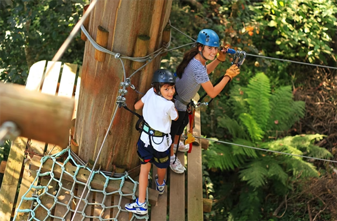 Melbourne Treetops Adventure Yeodene Park Attraction Ticket
