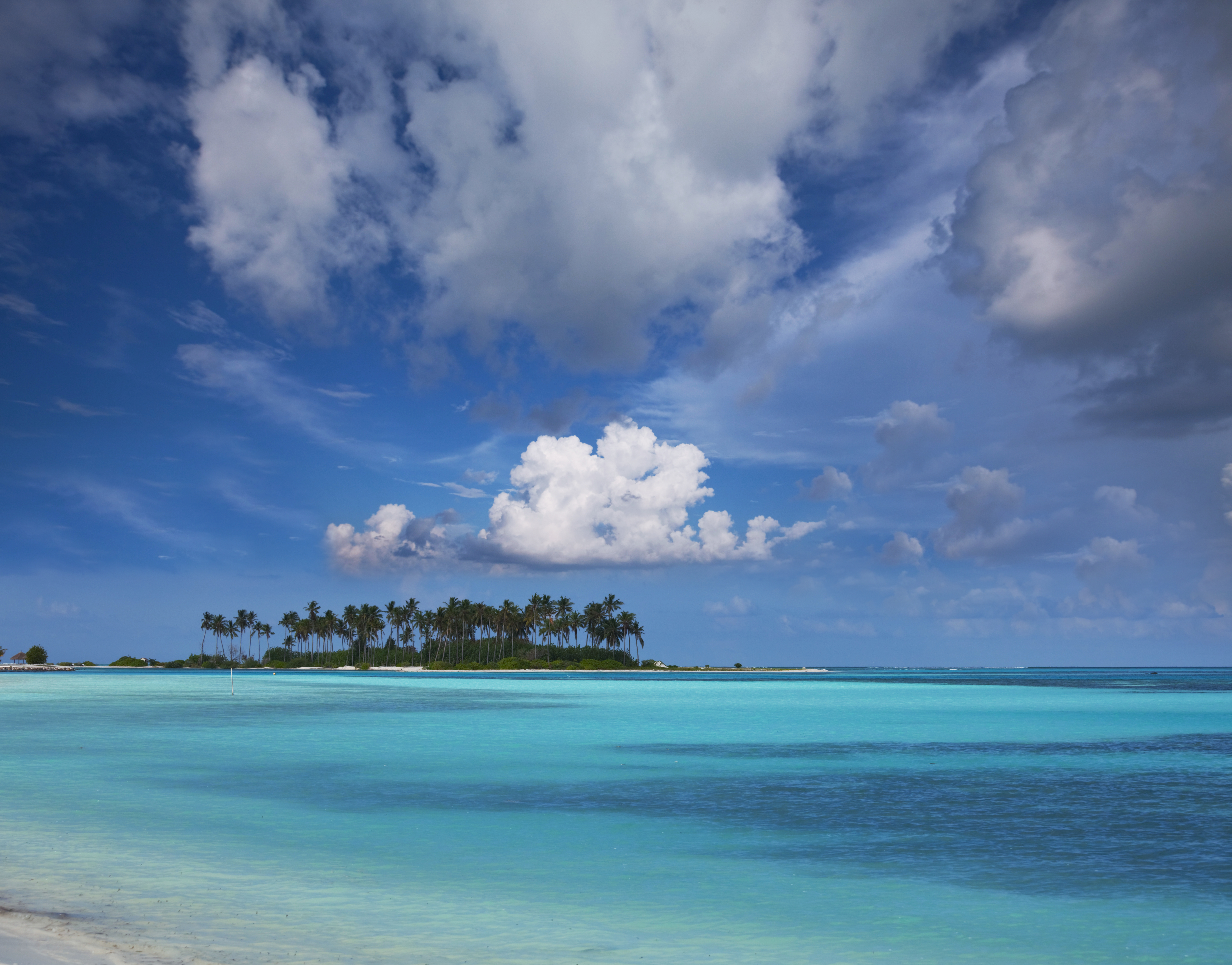 セブ・ブランドホッピングツアー