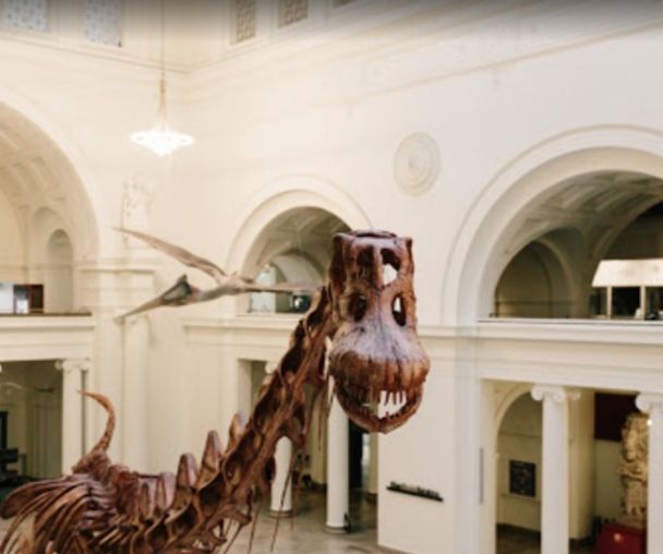 activity_detail_image